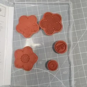 Stampin' Up! | Design | Stampin Up Posy Punch Shelli Signature ...